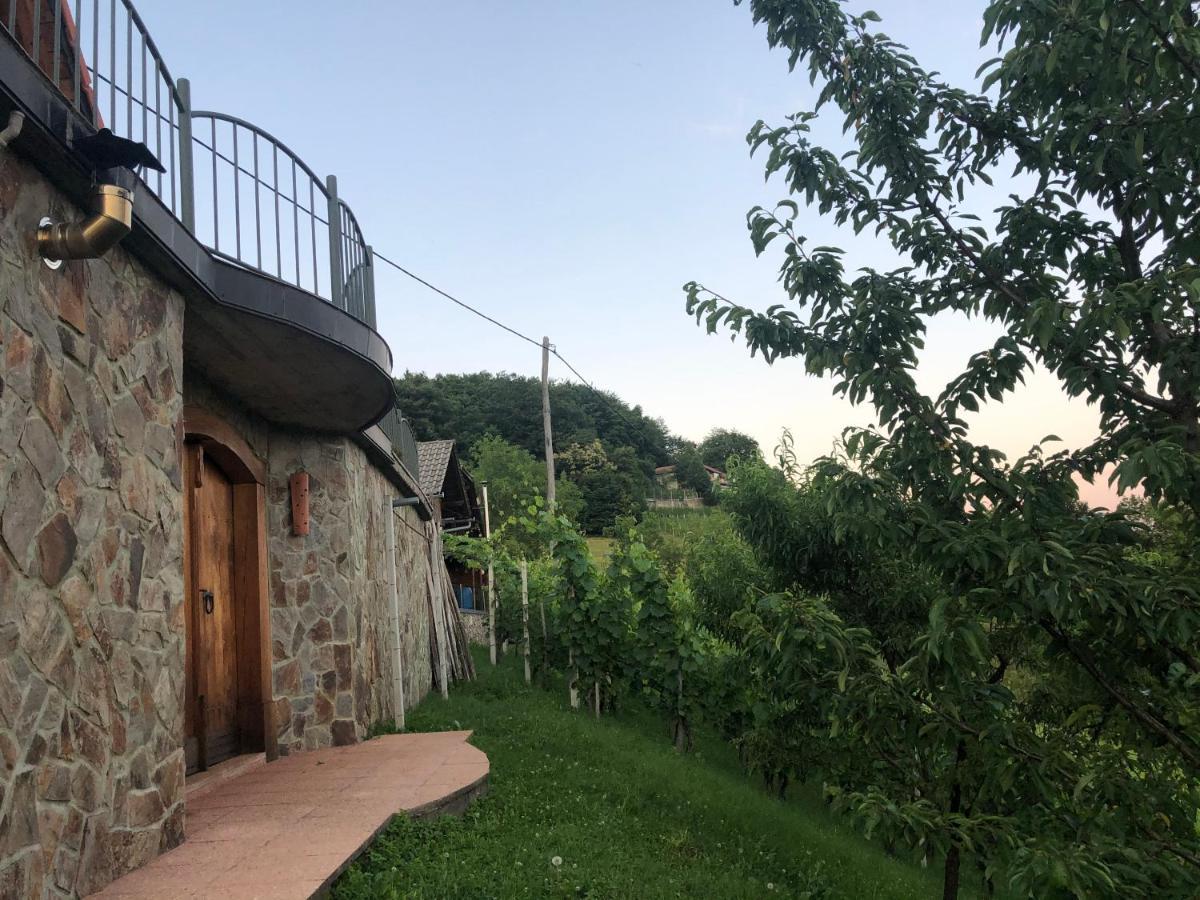 Vineyard Cottage Janko & Metka Otočec Esterno foto