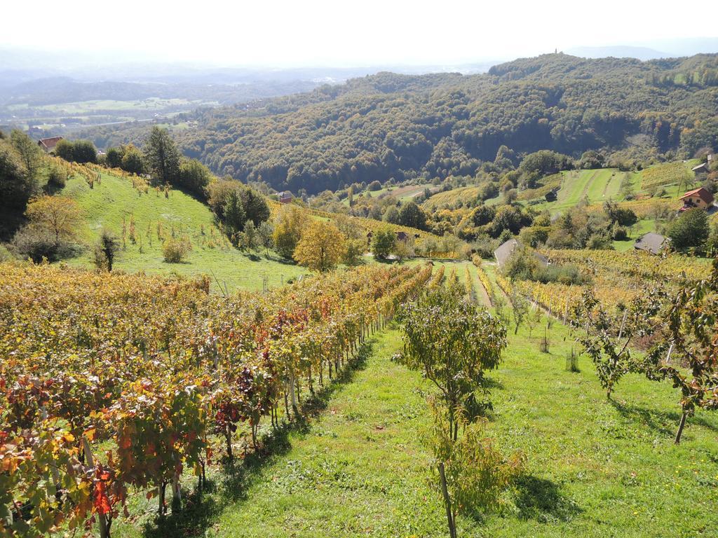 Vineyard Cottage Janko & Metka Otočec Esterno foto